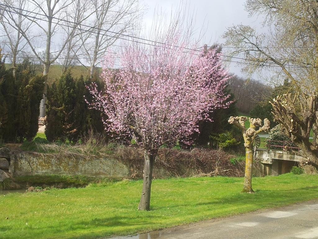 Chambre D'Hotes Le Moulin D'Encor Seysses-Saves エクステリア 写真